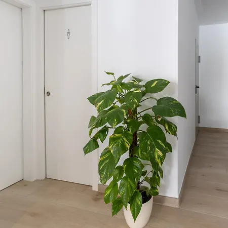 Hotel Oasis Centro *