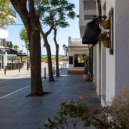 Oasis Centro *
