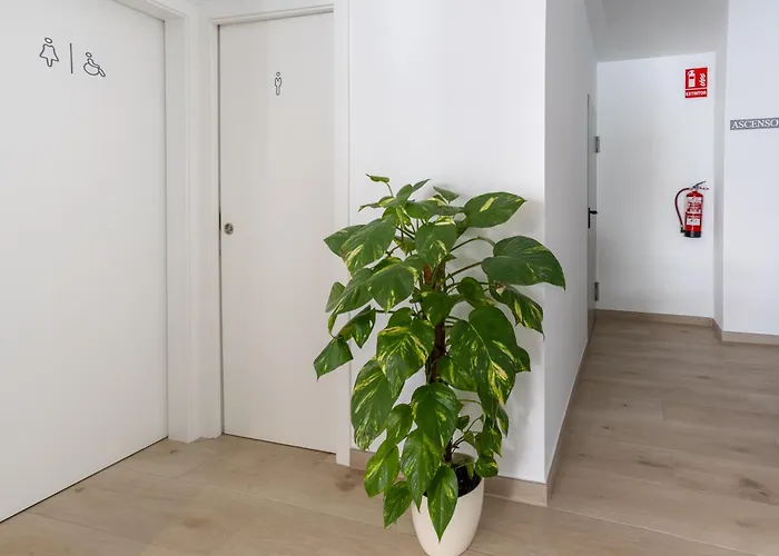 Hotell Oasis Centro *