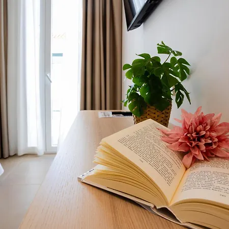 Отель Oasis Centro